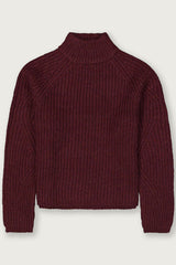 Pull col roulé bordeaux